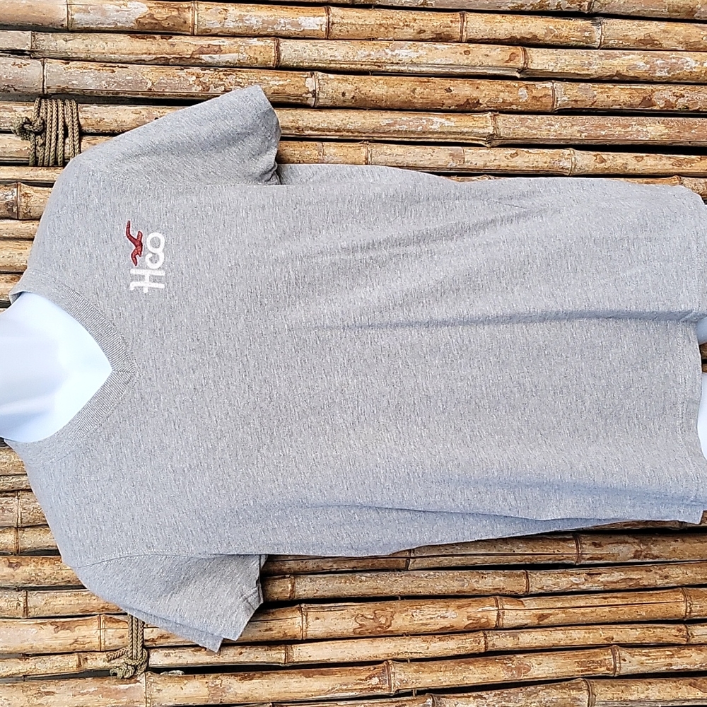 Hollister HCO Mens size SMALL gray short sleeve